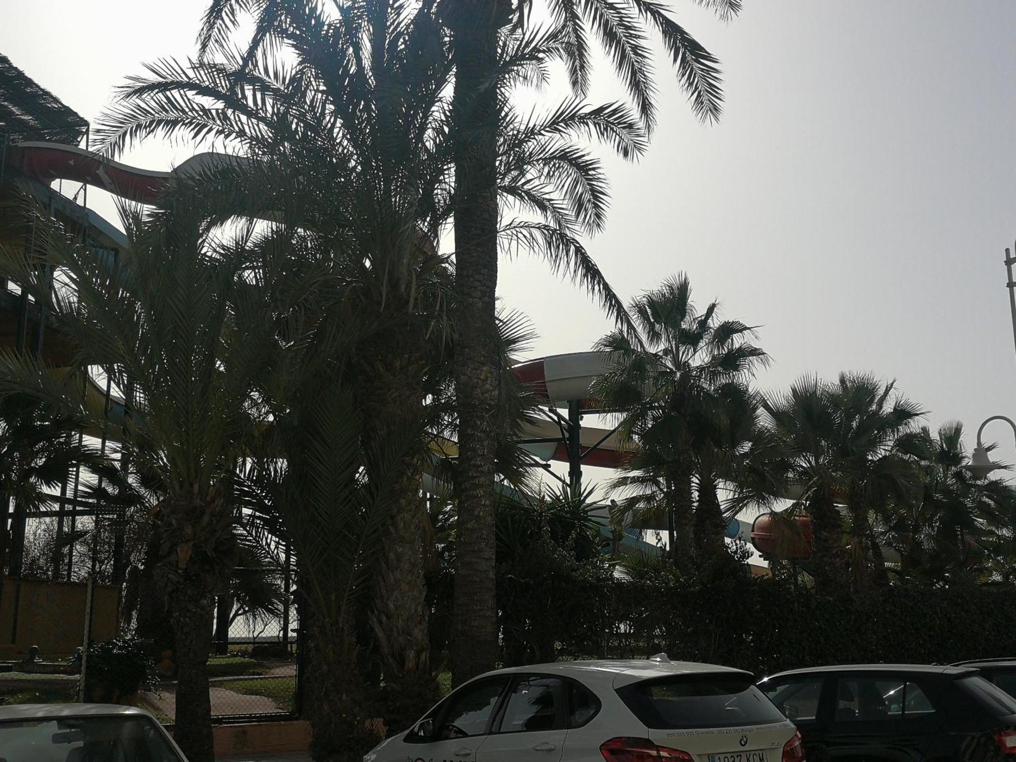 Apartamento Playa Velilla Park II Almuñécar Екстериор снимка